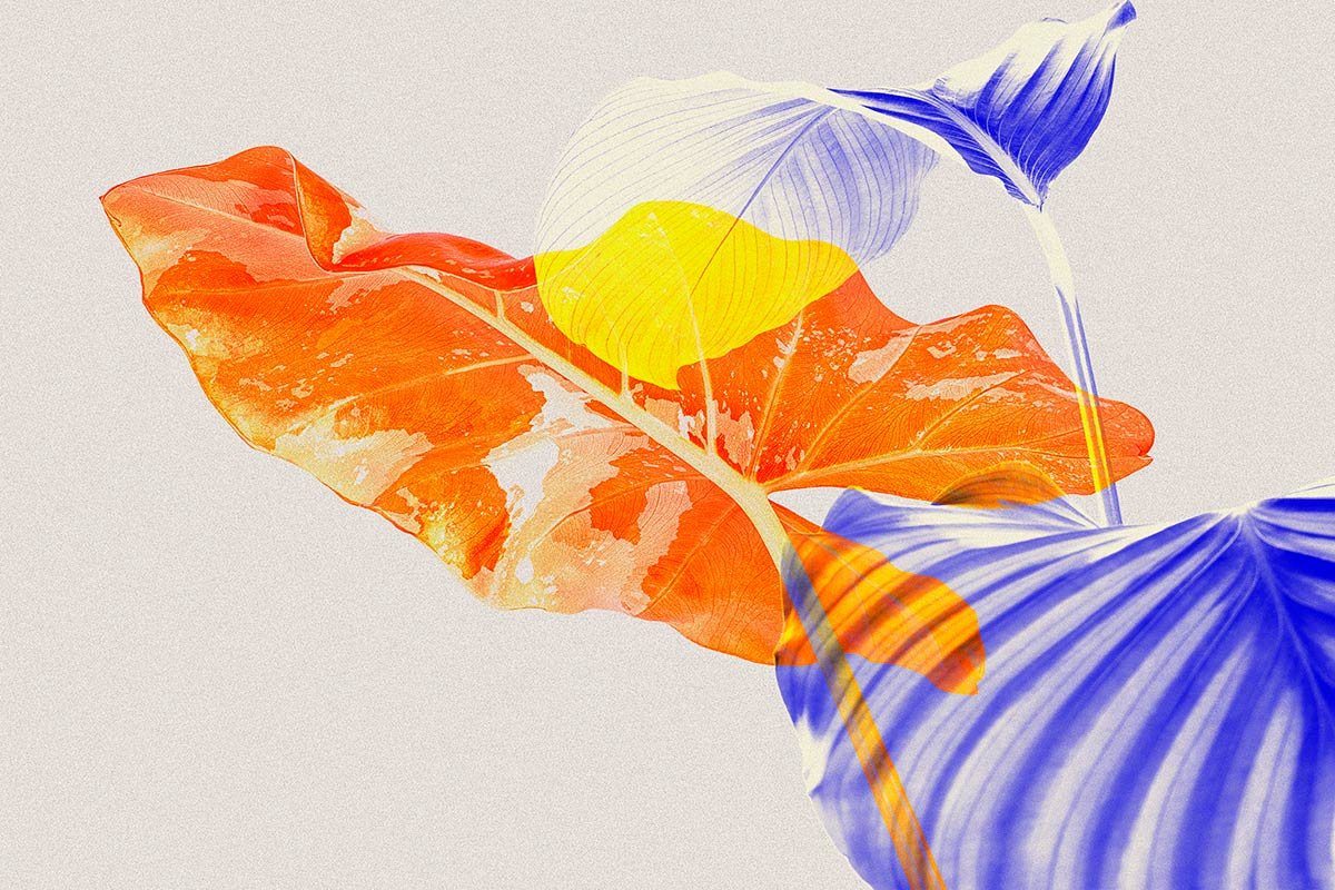 A pencil surrounded by flowing paper and leaf shapes